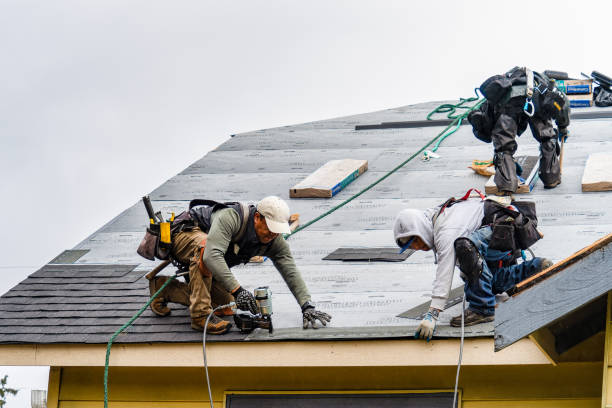 Professional Roofing technician working in Shirley, MA